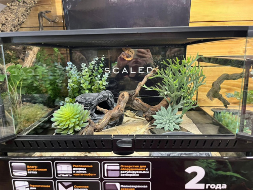 Комплект для содержания эублефара 45х45х30