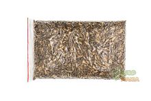 Домовый сверчок замороженный - уп. 1 кг.