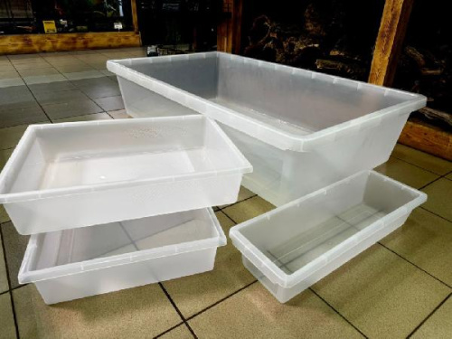 Scaled контейнер для содержания рептилий 60x45x12 (с вентиляцией)