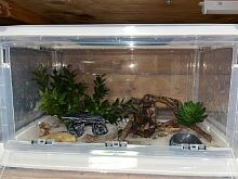 Комплект для содержания на базе складного садка (Л2911)