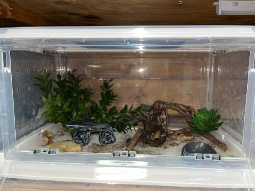 Комплект для содержания на базе складного садка (Л2911)