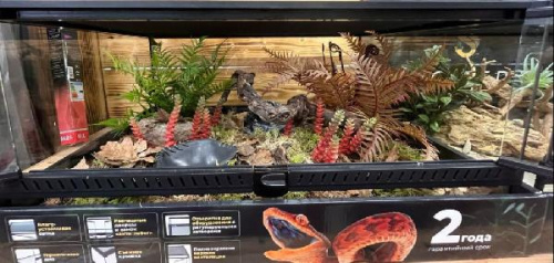 Комплект для содержания 60х45х30 (Л2980)