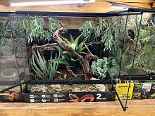 Комплект для содержания 60х45х60 (Л2912)