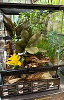 Комплект для содержания 30х30х45 (К3071)