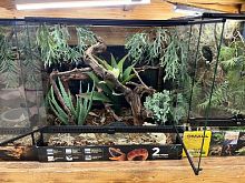 Комплект для содержания 60х45х60 (Л2912)