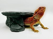 Укрытие из искусственного камня Scaled Pride Rock Shelter 20 см