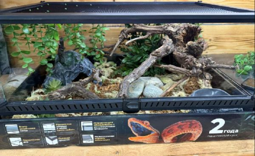 Комплект для содержания 60х45х30 (К3070)