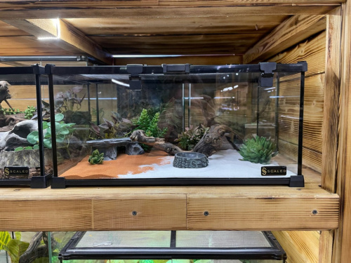 Комплект для содержания 50х30х25 "W&Y" (Л2094) фото 2