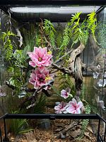 Комплект для содержания 60х45х90 (KM2849)