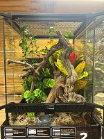 Комплект для содержания 30х30х45 (Л2908)