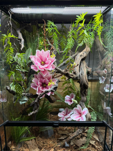 Комплект для содержания 60х45х90 (KM2849)