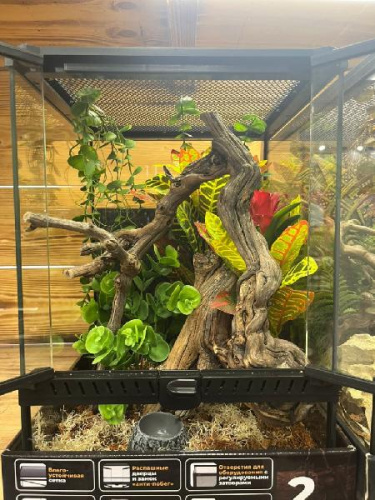 Комплект для содержания 30х30х45 (Л2908)