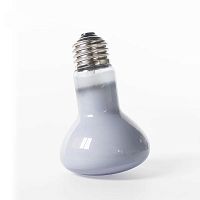 Зеркальная лампа дневная греющая UVA 70w Nomoy Pet