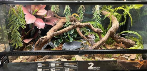 Комплект для содержания 90х45х45 (Л2979)