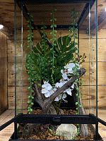 Комплект для содержания 30х30х60 (Ю2971)