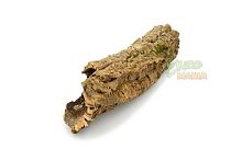 Кора пробкового дуба, цилиндр - размер S