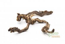 Натуральная коряга "Виноградная лоза" - размер S Натуральная коряга "Виноградная лоза" - размер S