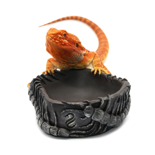 Поилка круглая из искусственного камня Scaled Scolopendra Drinking Bowl 14 см фото 4