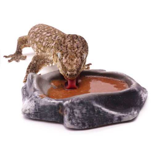 Kate's Geckos Lab Инжир (Смесь для рептилий со вкусом инжира) фото 2