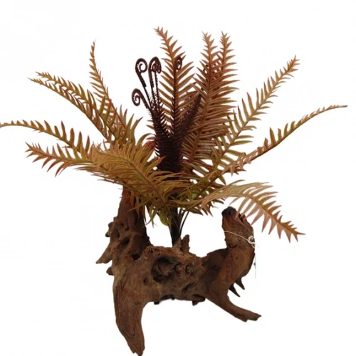 Папоротник бурый