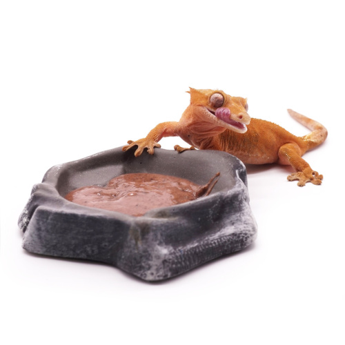 Kate's Geckos Lab Рост (Смесь для рептилий в период роста и разведения) фото 3