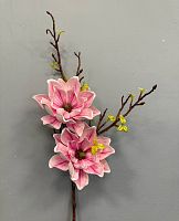 Магнолия большая (2 цветка)