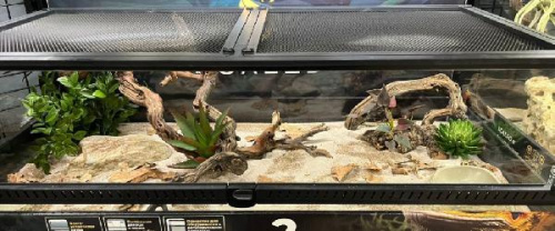 Комплект для содержания 90х45х30 (Л2909)