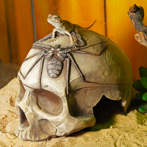 Укрытие из искусственного камня Scaled Skull Shelter 12 см фото 3