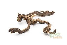 Натуральная коряга "Виноградная лоза" - размер XXL