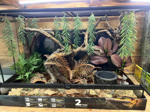 Комплект для содержания 90х45х60 (Л2907)