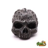 Укрытие "Alien Skull"