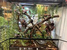 Комплект для содержания 90х45х90