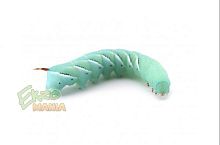 Гусеница табачного бражника - уп. 14-15 шт.