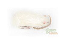 Крыса замороженная "Взрослая" - 1 шт.