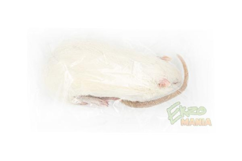 Крыса замороженная "Взрослая" - 1 шт.