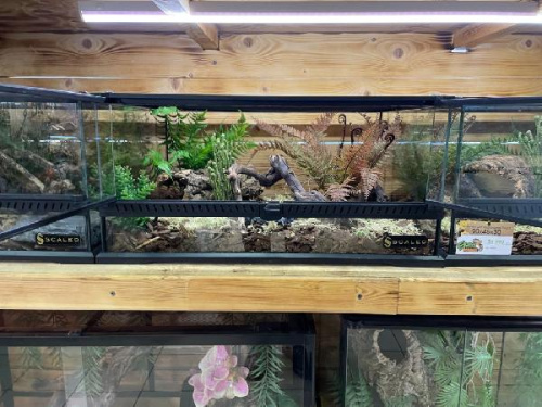 Комплект для содержания 60х45х30 "Taiga M" (Л2168)