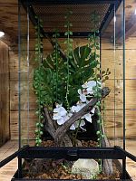 Комплект для содержания 30х30х60 (Ю2971)