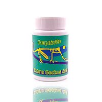 Kate's Geckos Lab - Amphivite Kate's Geckos Lab - Amphivite