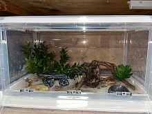 Комплект для содержания на базе складного садка (Л2911)