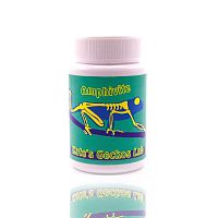 Kate's Geckos Lab - Amphivite