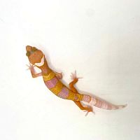 Пятнистый эублефар (Eublepharis macularius) Sunglow (2025г)