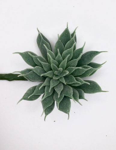 Суккулент 7 фото 2