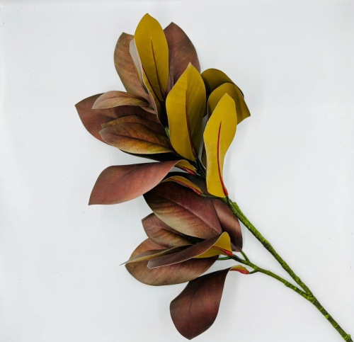 Ветка магнолии (малая)