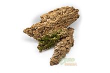 Кора пробкового дуба, полусфера - размер XXL