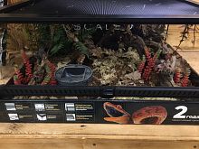 Комплект для содержания 60х45х30 (Л2809)