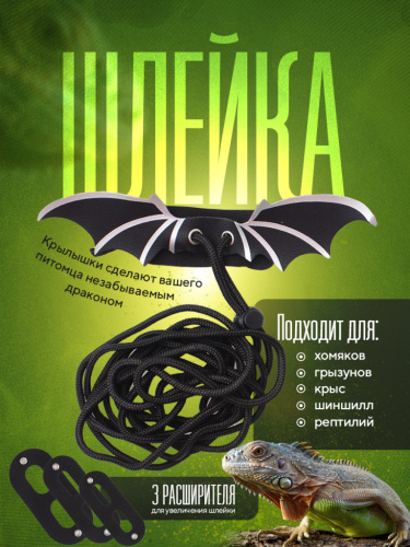 Шлейка-поводок для ящерицы "Дракон"