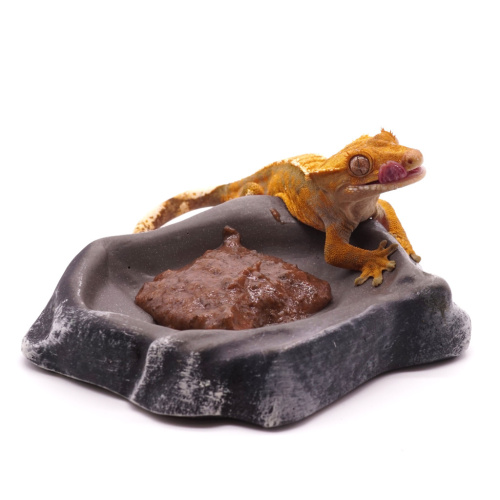 Kate's Geckos Lab Тропические фрукты (Смесь для фруктоядных рептилий) фото 2