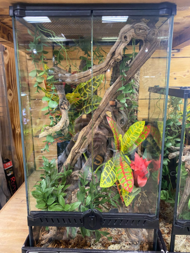 Комплект для содержания 30х30х60 (К2875) фото 2