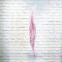 Тилландсия ампельная розовая