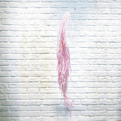 Тилландсия ампельная розовая